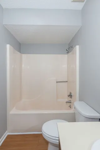 a bathroom with a toilet and a bathtub
