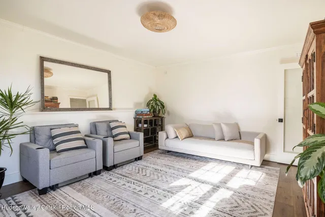 a living room with furniture flowerpot and a mirror