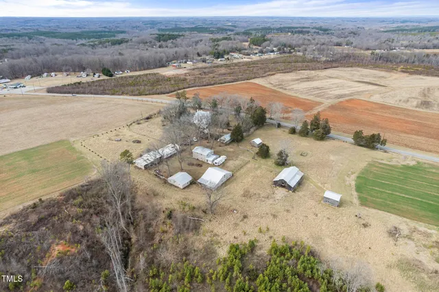 a view of a room with wooden floor potted plants and a fireplace