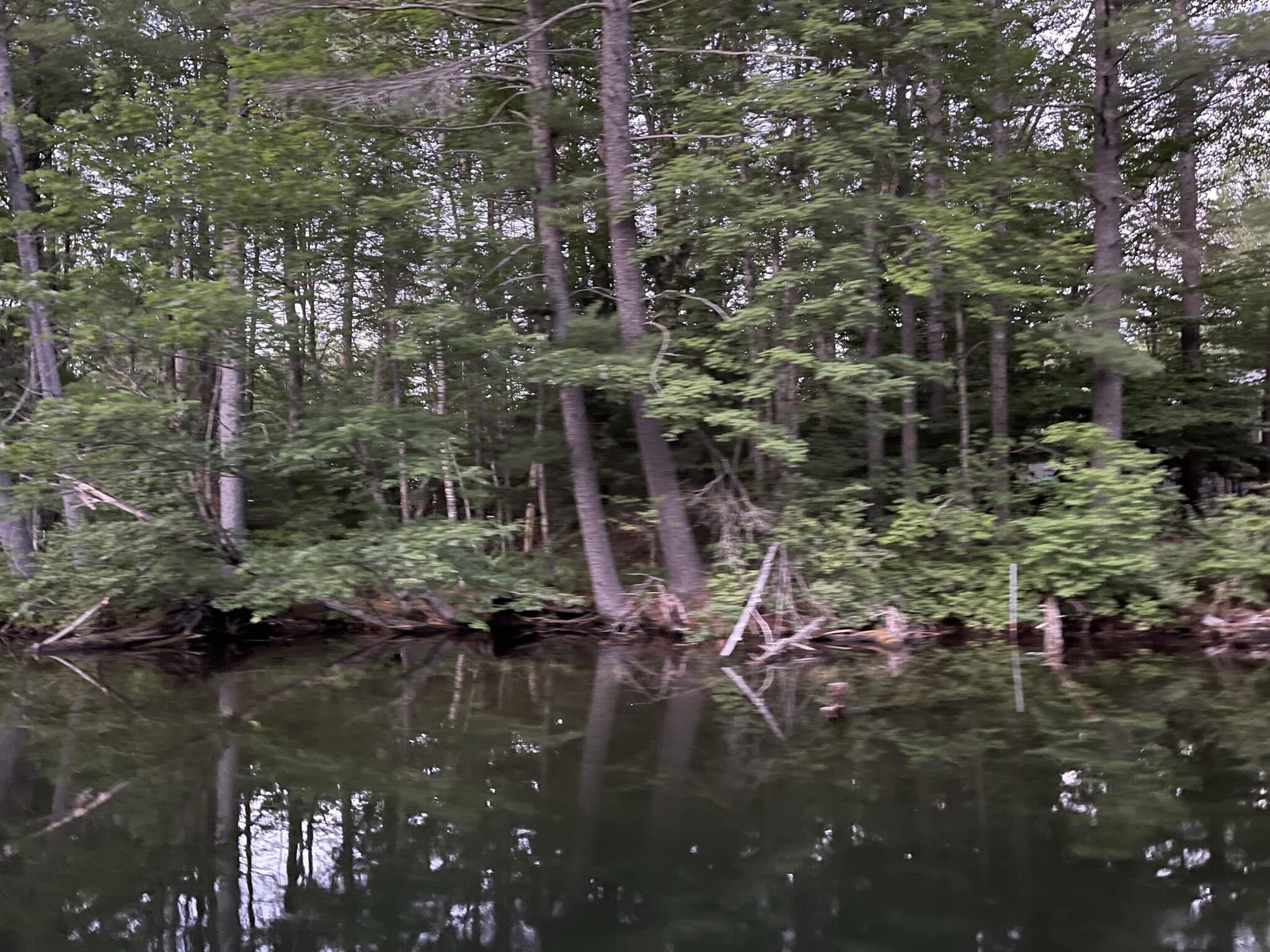 Lot 11 Dillingham Road Naples, ME 04055 - Photo 2 of 10 IMG_1344