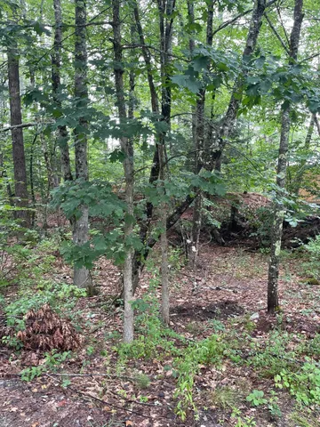 $235,900 | Lot 11 Dillingham Road, Naples, ME 04055