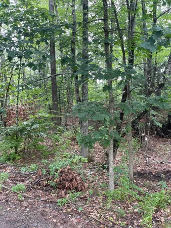 $235,900 | Lot 11 Dillingham Road, Naples, ME 04055