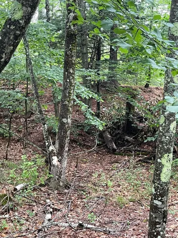 $235,900 | Lot 11 Dillingham Road, Naples, ME 04055