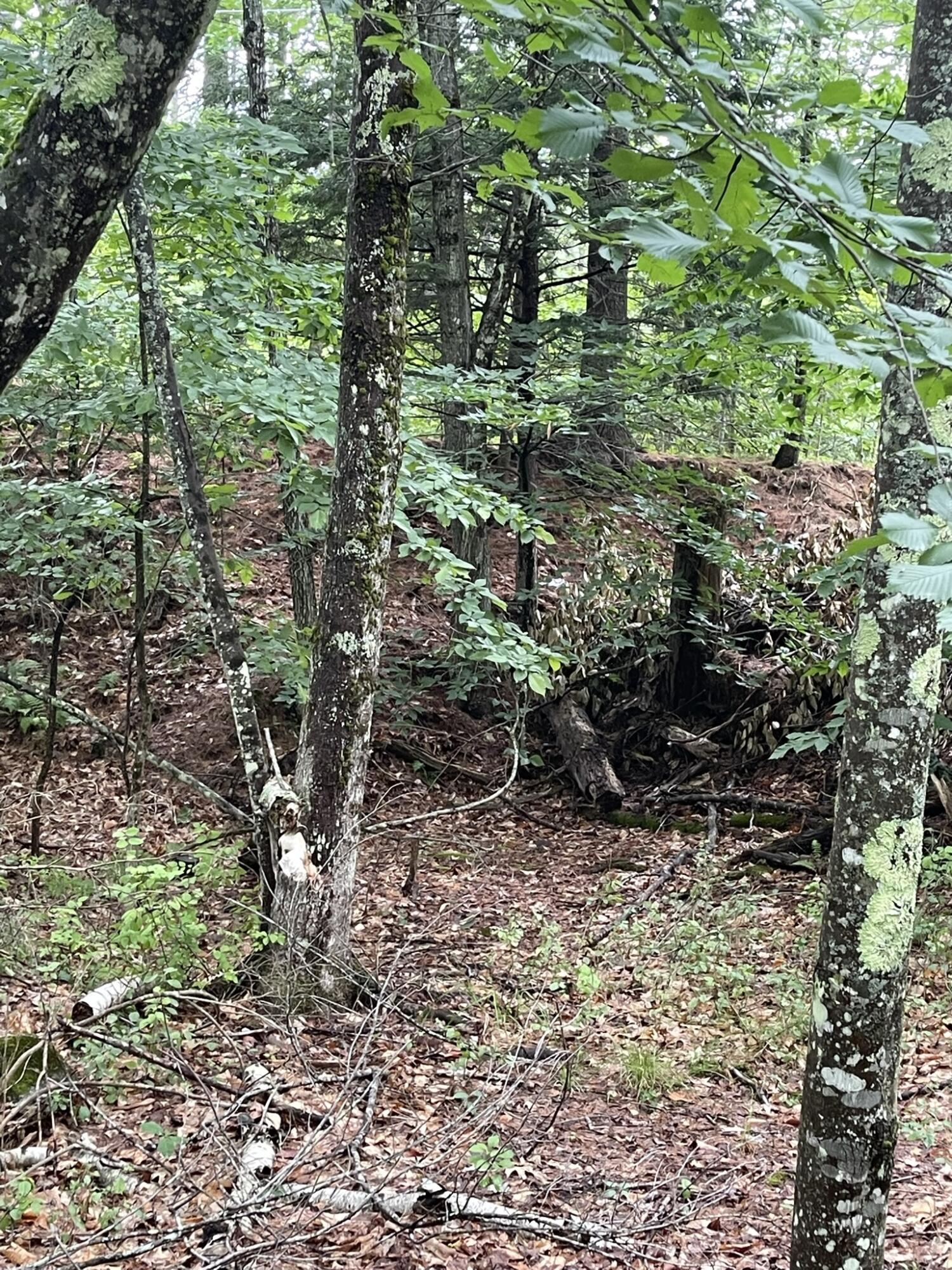 Lot 11 Dillingham Road Naples, ME 04055 - Photo 5 of 10 IMG_1327