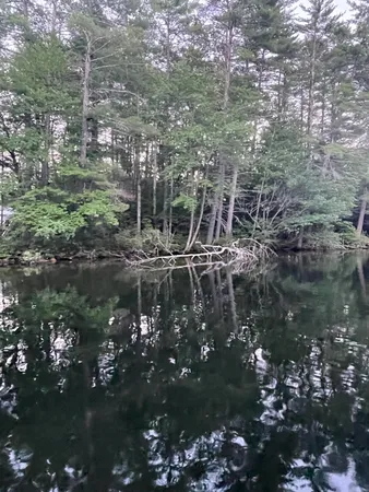 $235,900 | Lot 11 Dillingham Road, Naples, ME 04055