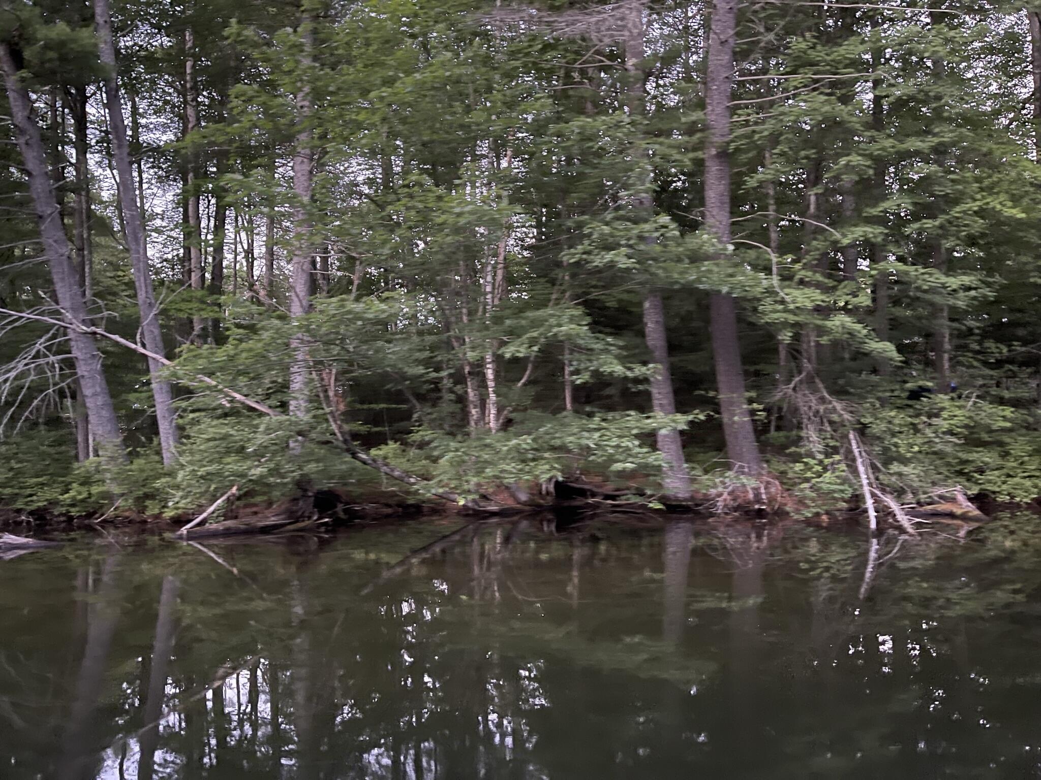 Lot 11 Dillingham Road Naples, ME 04055 - Photo 9 of 10 IMG_1345