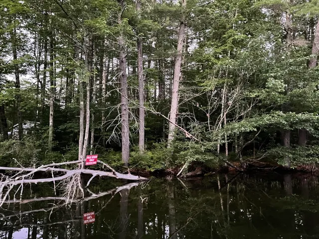 $235,900 | Lot 11 Dillingham Road, Naples, ME 04055