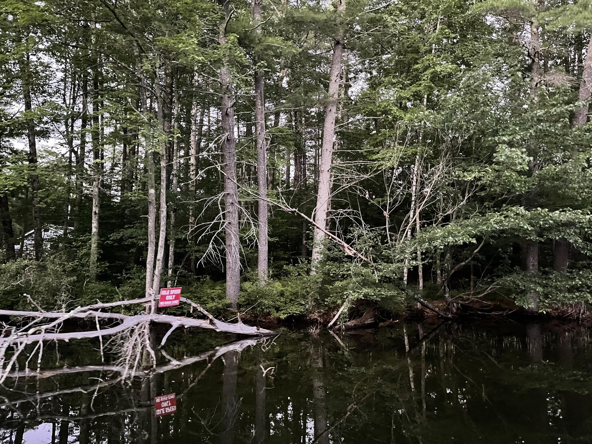 Lot 11 Dillingham Road Naples, ME 04055 - Photo 10 of 10 IMG_1346