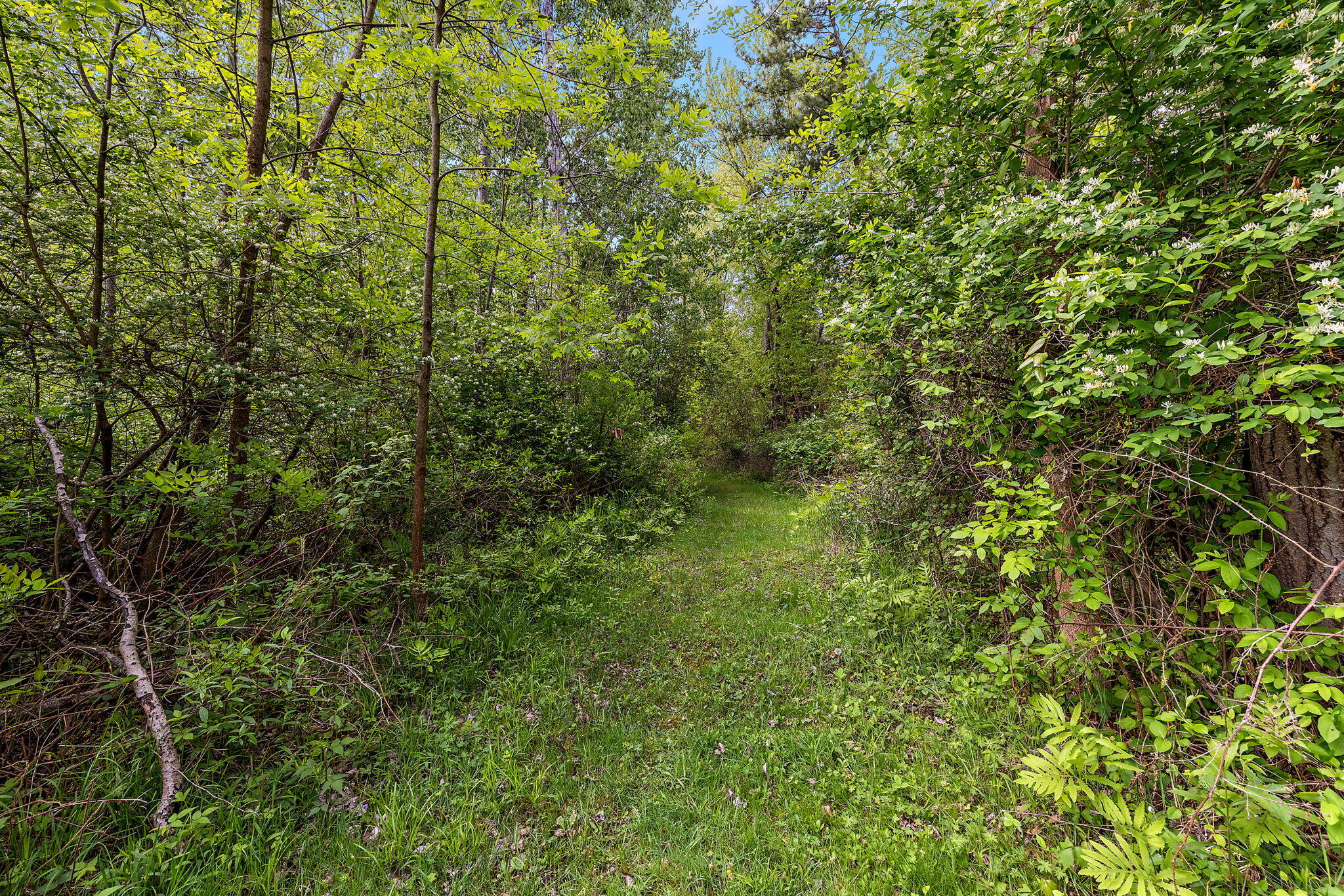 17270 Taft Road Spring Lake, MI 49456 - Photo 63 of 73 63-web-or-mls-2R9A6436