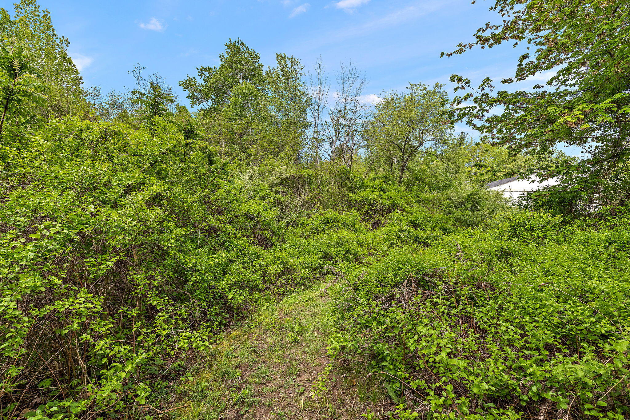 17270 Taft Road Spring Lake, MI 49456 - Photo 64 of 73 64-web-or-mls-2R9A6423