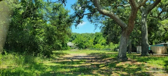 a big yard with lots of green space and house in back