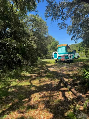 a view of a big yard with some trees
