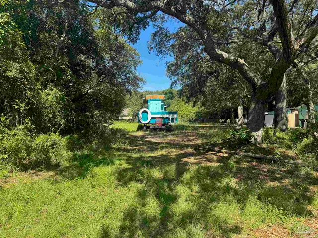 a picture of trees in front of a house