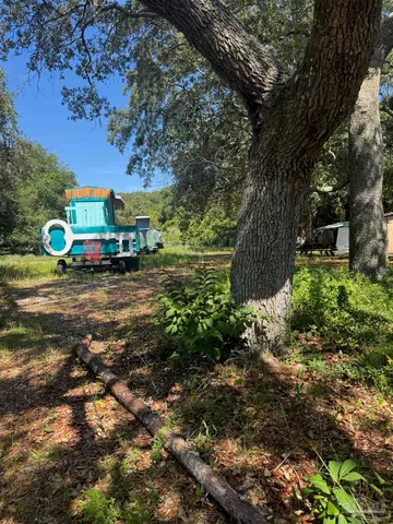 a view of a park with large trees