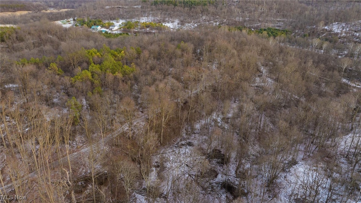 Perl Road Chandlersville, OH 43727 - Photo 24 of 48