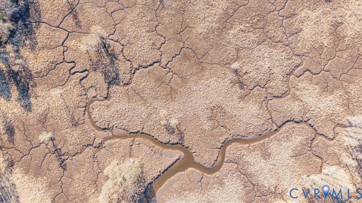 276 Colony Trail Lanexa, VA 23089 - Photo 14 of 39 a picture of tree