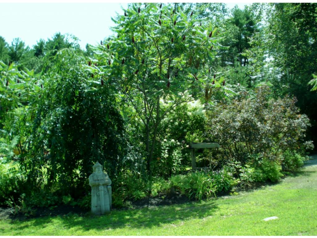 60 Ridgetop Lane Henniker, NH 03242 - Photo 10 of 36 Gallery Image 10