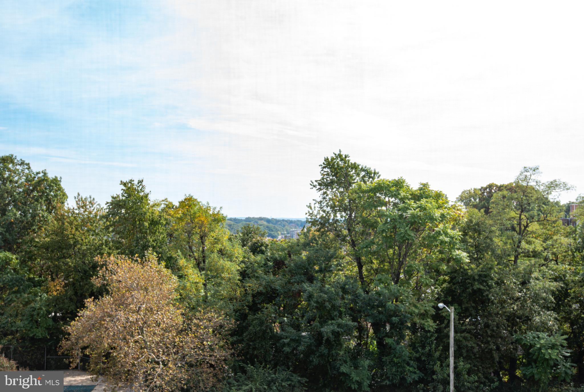 5101 8th Road South, Unit 413 Arlington, VA 22204 - Photo 5 of 18 Great view from the 4th floor