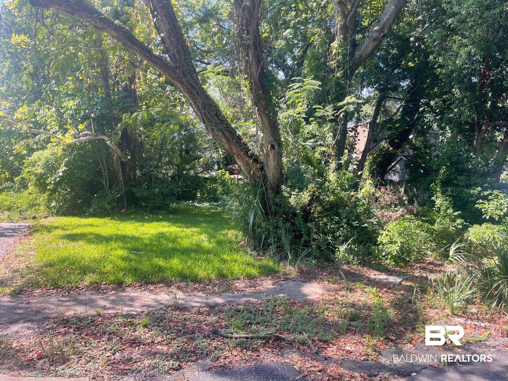 0 Adams Street Mobile, AL 36603 - Photo 3 of 3