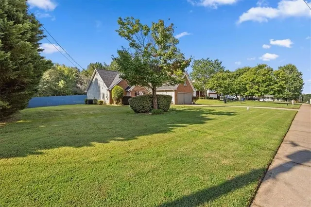 a view of a big yard with palm trees