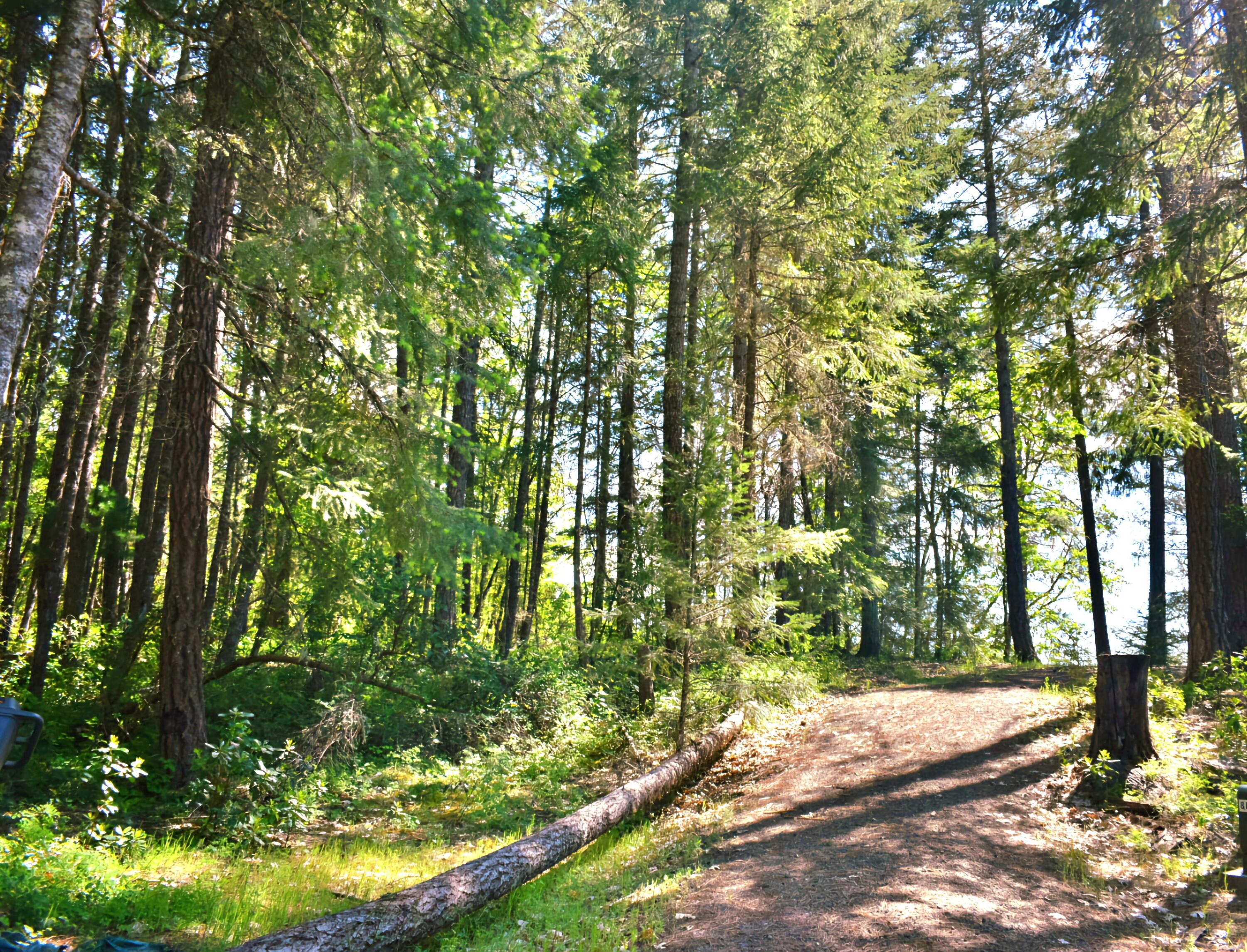 7419 Holland Corner Road Cave Junction, OR 97523 - Photo 47 of 48
