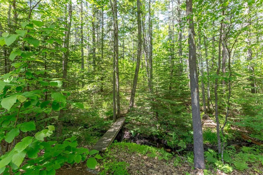 18 Hemlock Road Brunswick, ME 04011 - Photo 32 of 33 Woods behind the house connect to...