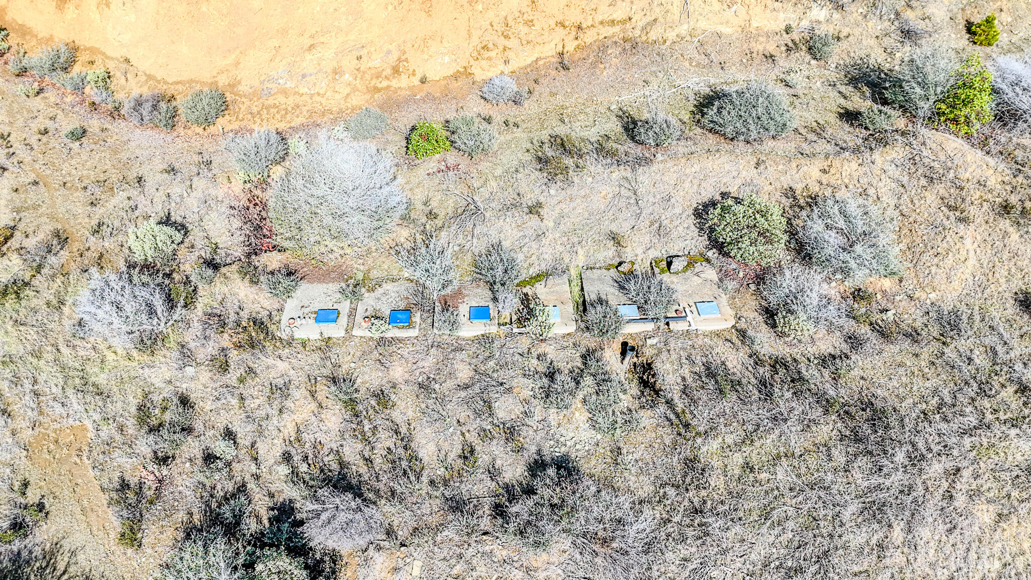 362 Humbug Creek Road Jacksonville, OR 97530 - Photo 42 of 49 a view of a dry yard with trees