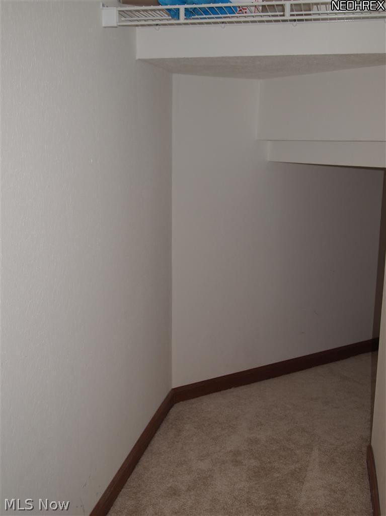117 Chimney Ridge Chardon, OH 44024 - Photo 13 of 14 Fist fl storage under the steps