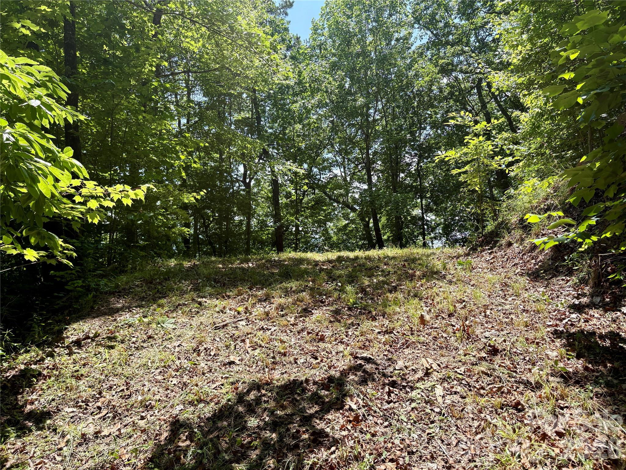 0 Eagles Roost Road, Unit 70 Bryson City, NC 28713 - Photo 8 of 14 a view of a yard with plants and tree