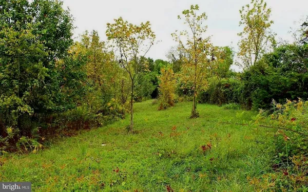 a big yard with lots of green space and trees