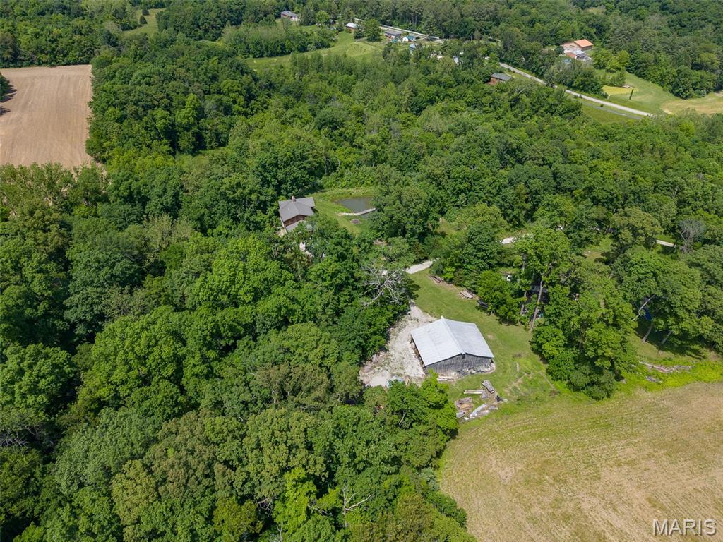 5423 Saxtown Road Millstadt, IL 62260 - Photo 43 of 55