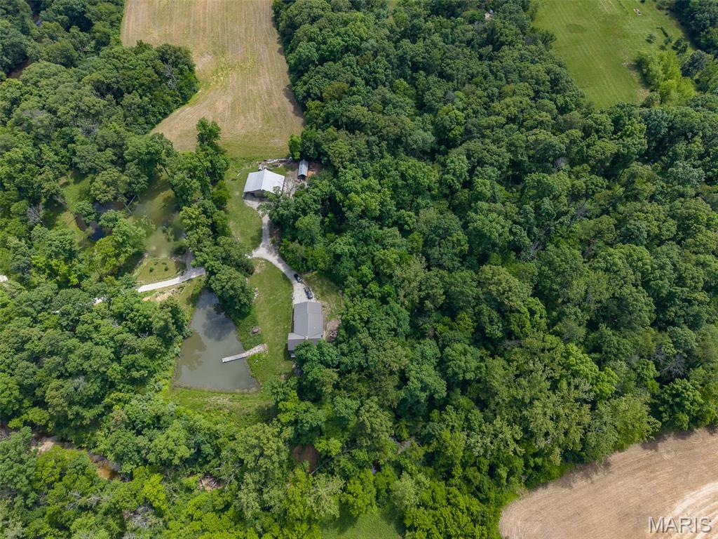 5423 Saxtown Road Millstadt, IL 62260 - Photo 48 of 55