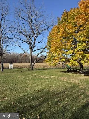 a view of a yard with an trees