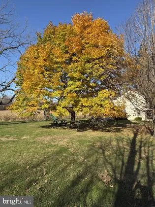 a view of outdoor space with trees all around