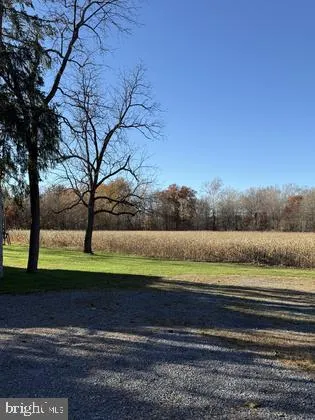 a view of a yard with cars