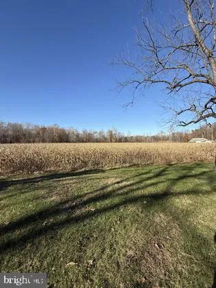 a view of an ocean from a yard