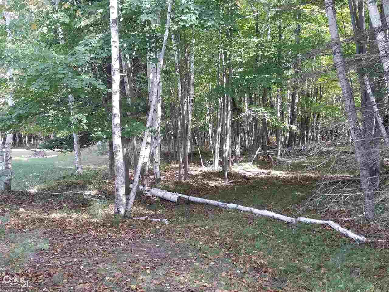 1390 West Youngs Road Gladwin, MI 48624 - Photo 63 of 75
