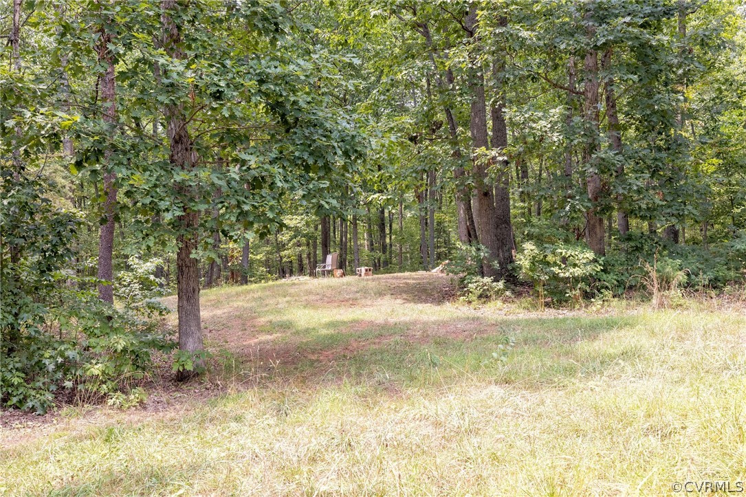 4952 Shannon Road Kents Store, VA 23084 - Photo 32 of 40 a view of a yard with plants and trees
