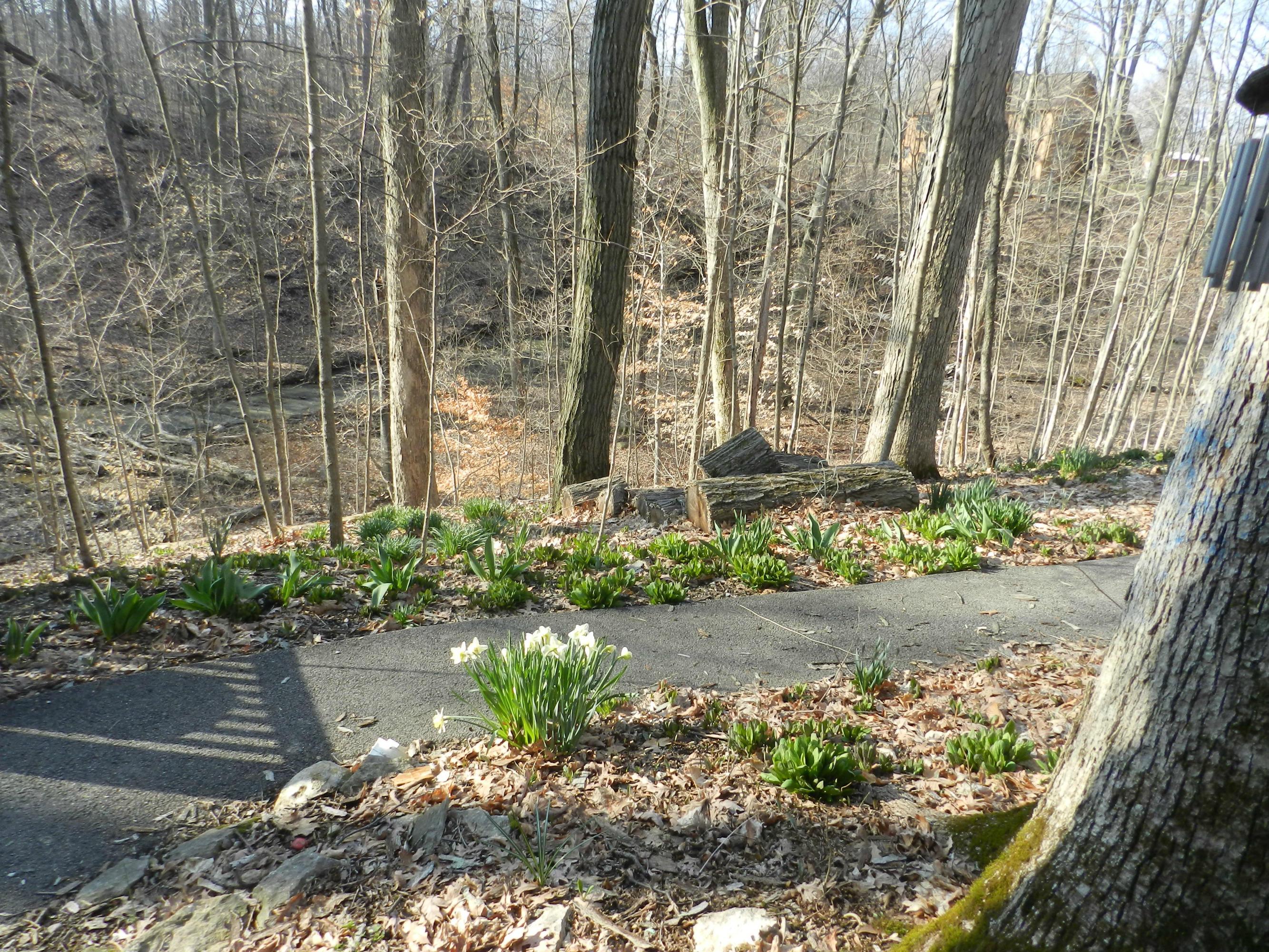 2061 Hyatts Road Delaware, OH 43015 - Photo 9 of 44 Gallery Image 9