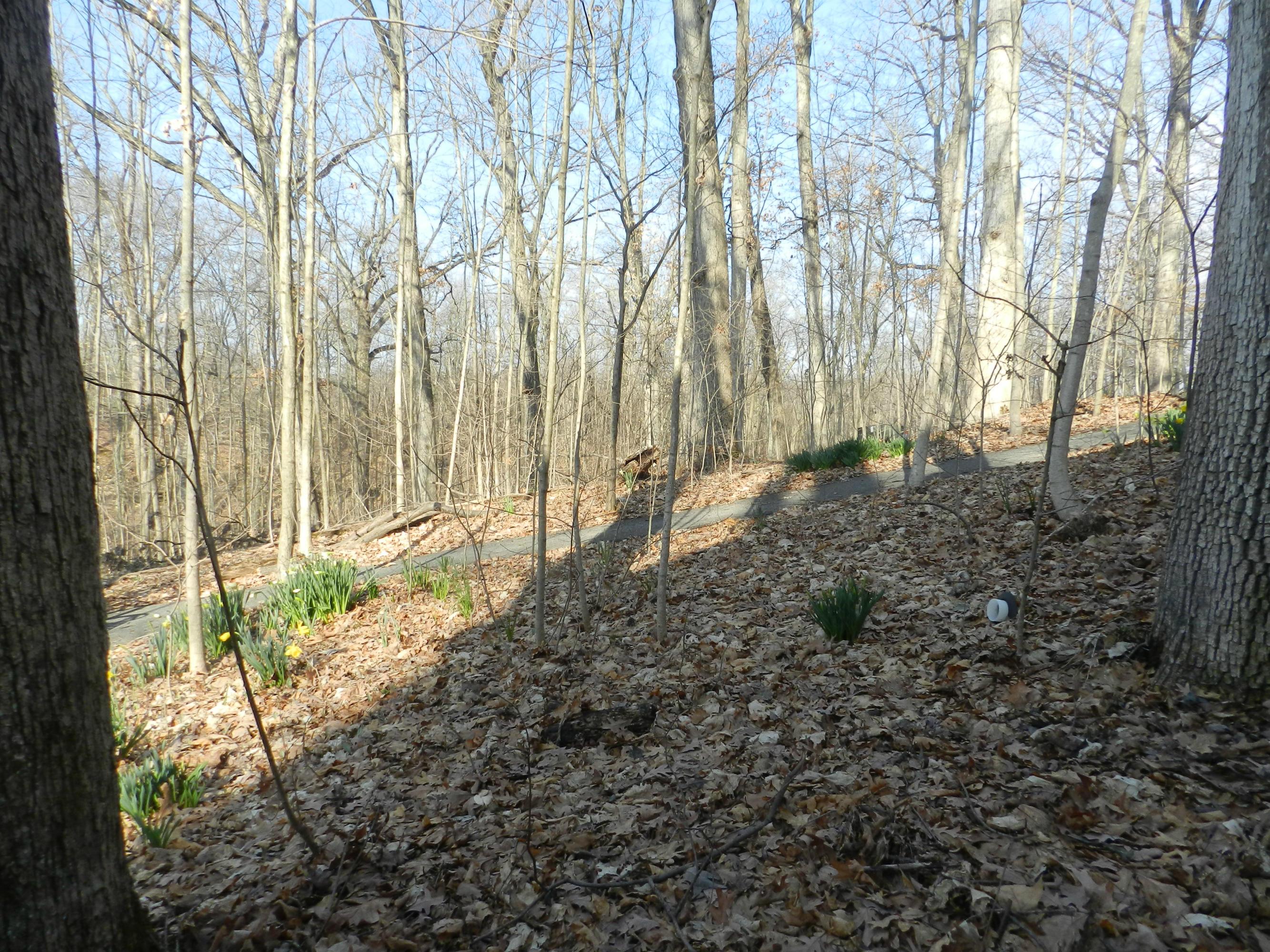 2061 Hyatts Road Delaware, OH 43015 - Photo 10 of 44 Gallery Image 10