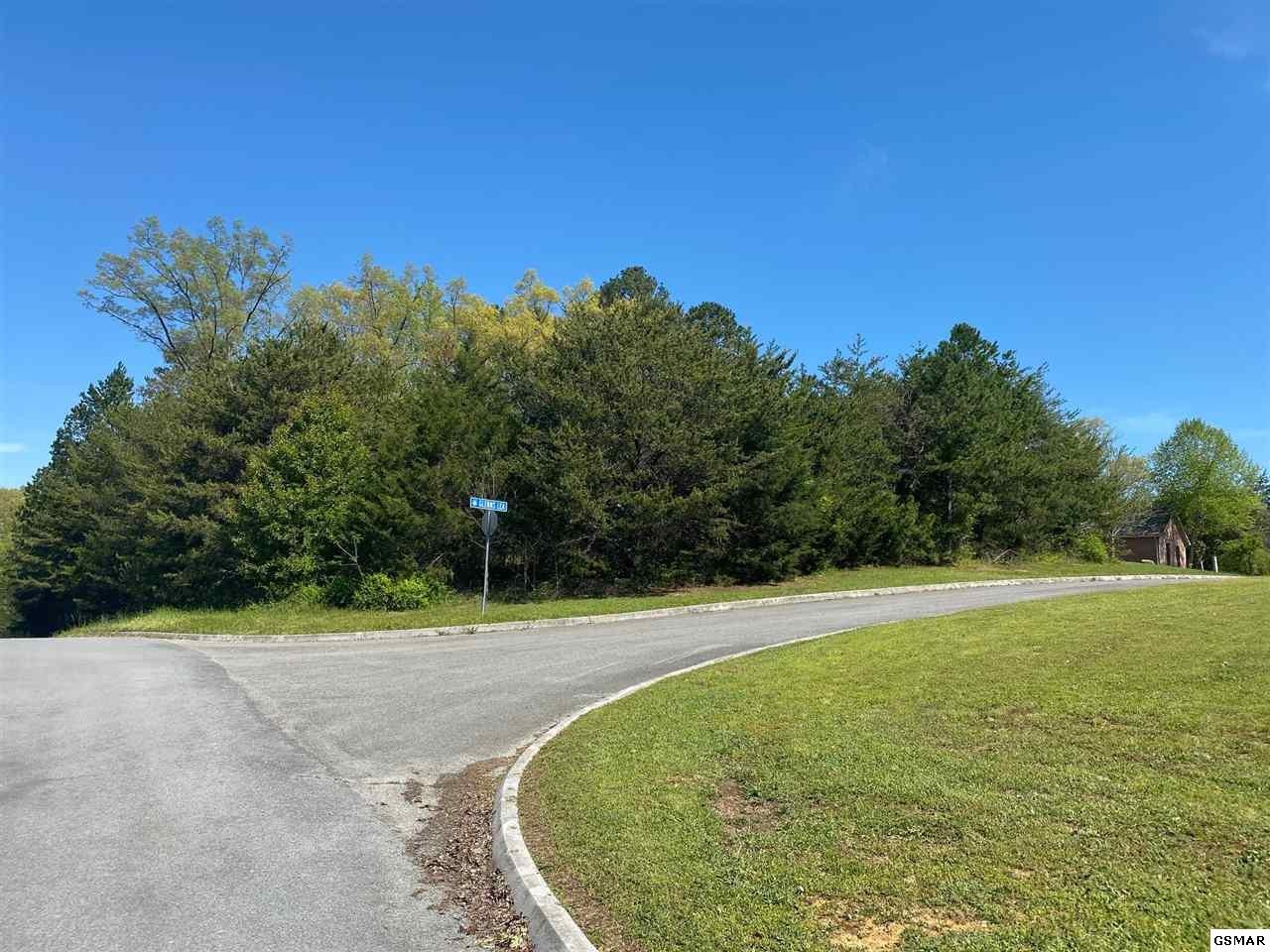 29 Amanda Lane Sevierville, TN 37876 - Photo 3 of 3