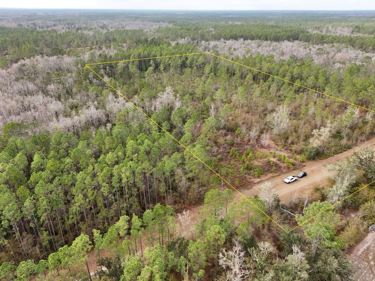 Vacant Southwest Ontario Road Greenville, FL 32331 - Photo 1 of 11