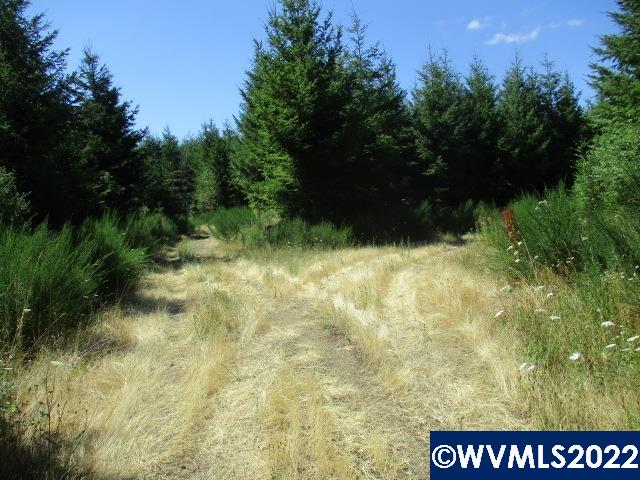 0 Timber (east) Road Forest Grove, OR 97116 - Photo 2 of 9