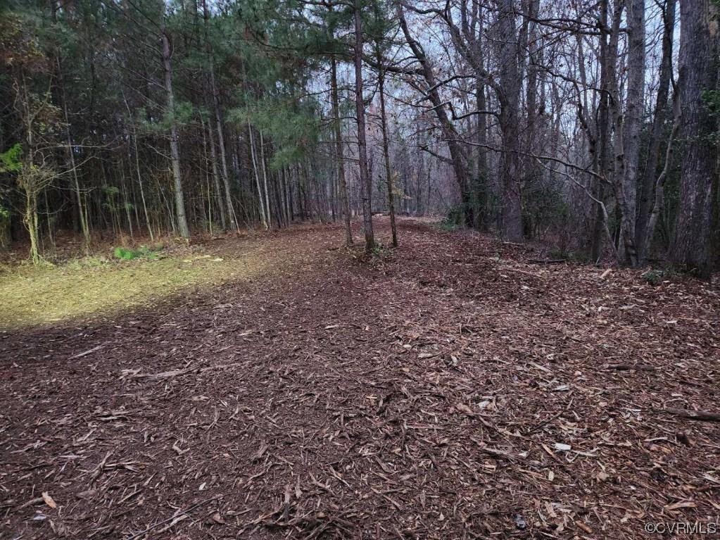 5100 Hickory Road Petersburg, VA 23803 - Photo 4 of 7 a backyard of a house with lots of plants and large trees