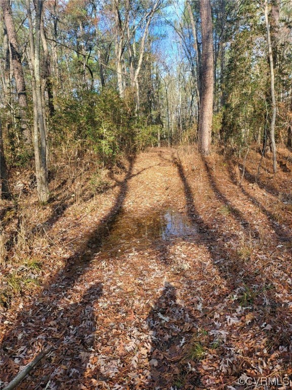 5100 Hickory Road Petersburg, VA 23803 - Photo 5 of 7 a view of a yard with trees