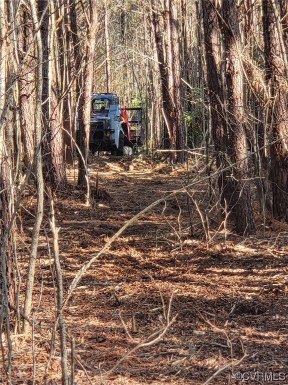 5100 Hickory Road Petersburg, VA 23803 - Photo 6 of 7 a backyard of a house with lots of green space