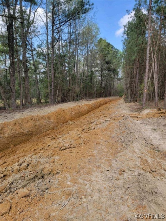 5100 Hickory Road Petersburg, VA 23803 - Photo 7 of 7 a backyard of a house with large trees