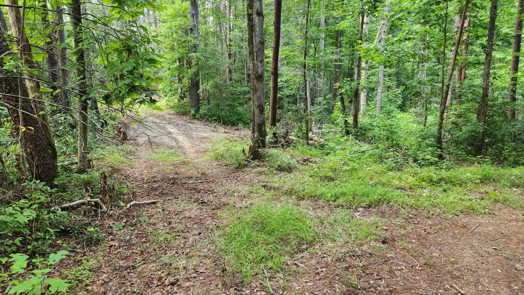 0 Tumbling Creek Road Copperhill, TN 37317 - Photo 27 of 62