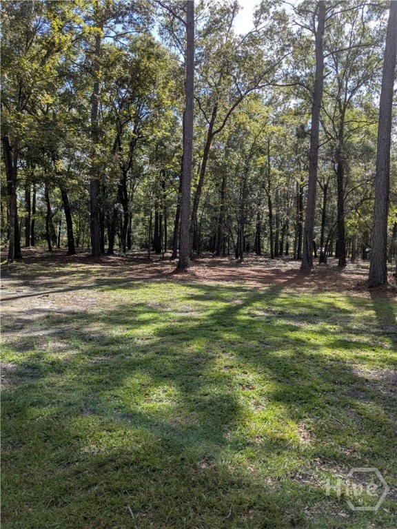 392 Reiser Road Springfield, GA 31329 - Photo 11 of 11 It's ready for you.