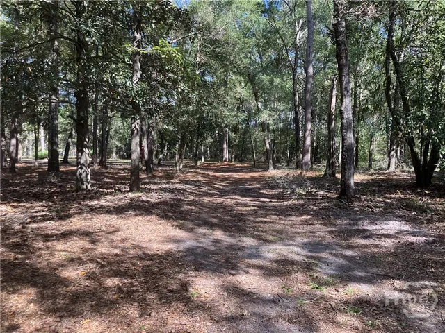 $179,900 | 392 Reiser Road, Springfield, GA 31329